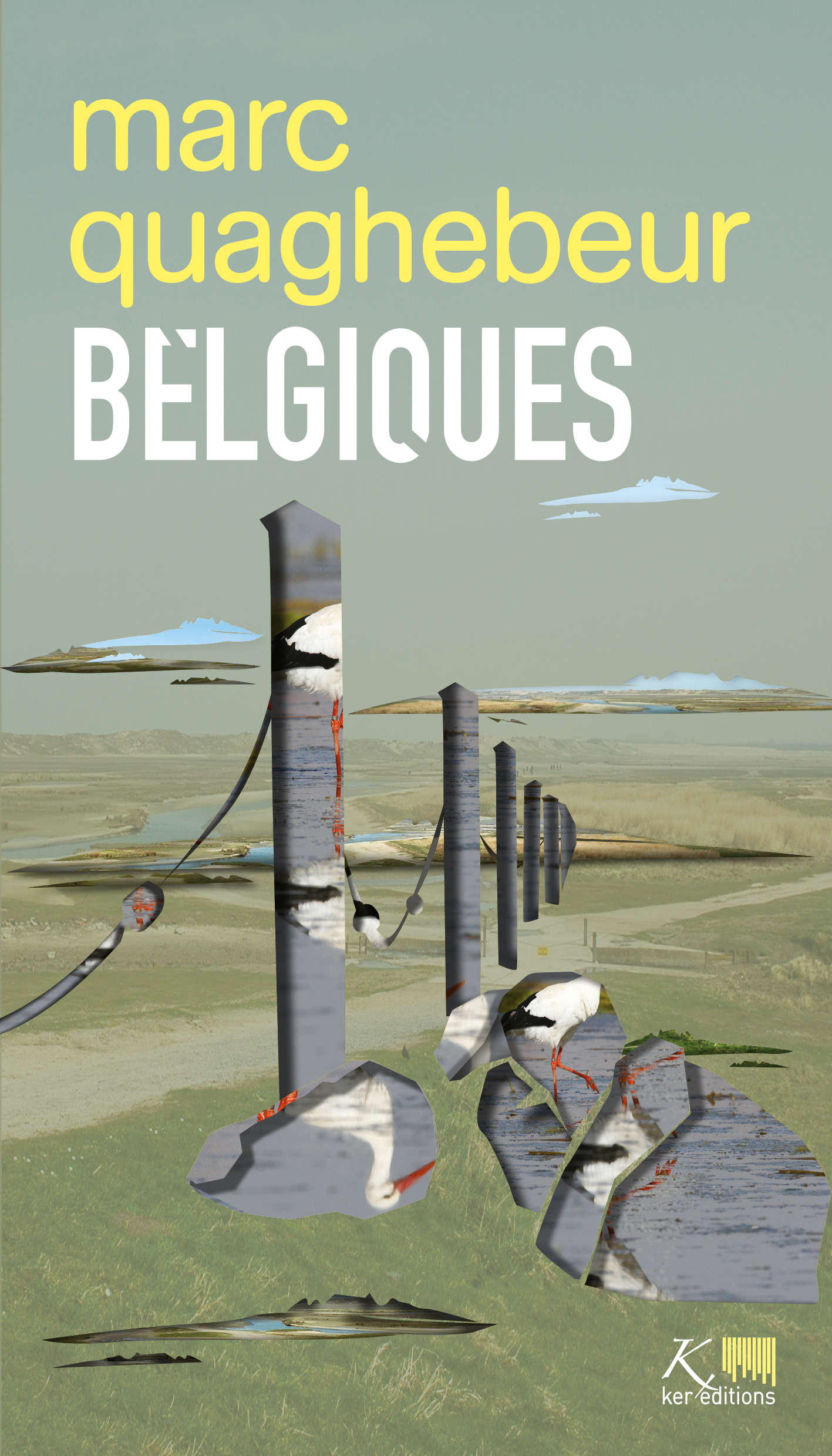Marc Quaghebeur
